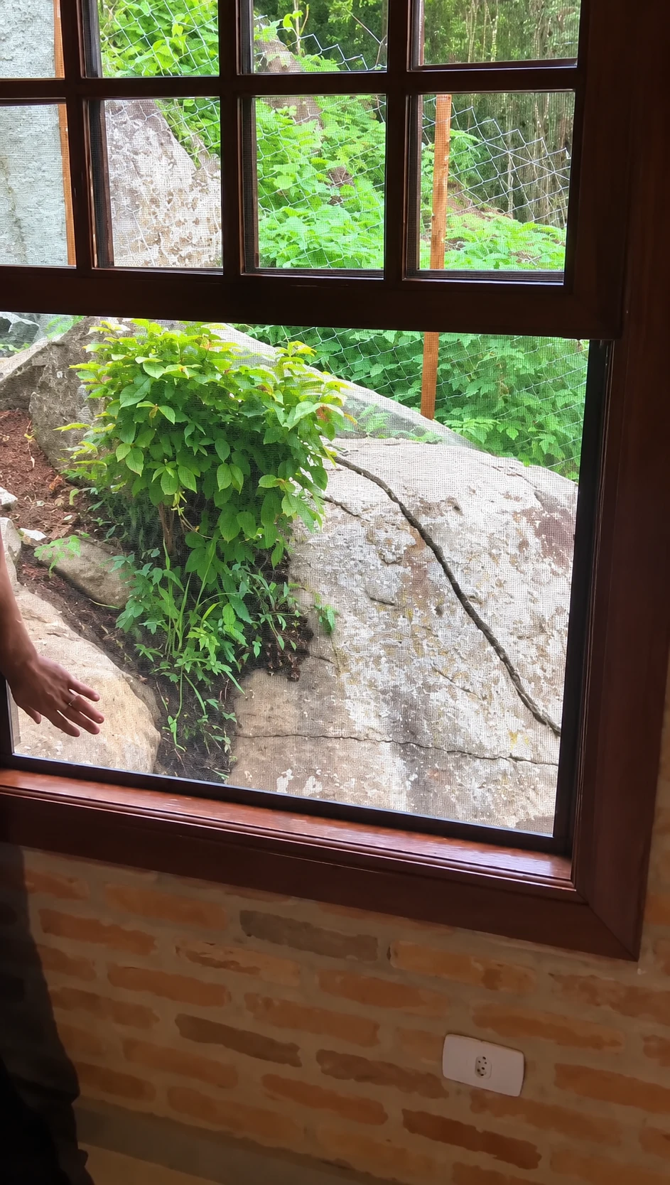 Janela de madeira com tela e vista para o jardim, em vídeo da Sossego